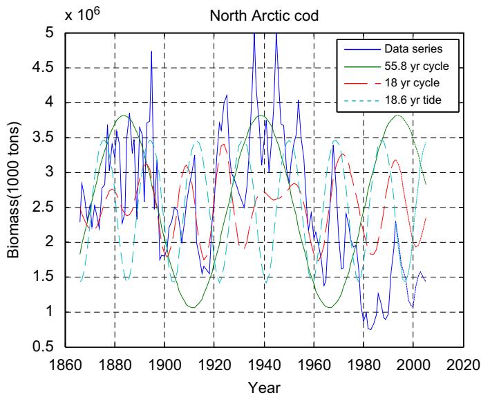 The figure displays the biomass of Northeast Arctic cod (in 1000-ton units) from 1866 to 2005 as a blue line, alongside three modeled cycles: a 55.8-year cycle (green), an 18-year wavelet cycle (red), and an 18.6-year tide cycle (cyan). The 55.8-year and 18.6-year cycles are scaled to align with the biomass data, illustrating their phase relationships to the observed fluctuations. The plot reveals that the biomass time series exhibits periodic oscillations that correspond closely to the superharmonic 55.8-year cycle and the astronomic 18.6-year tide cycle, with the 18-year wavelet cycle also showing a similar but less dominant periodicity. (source: ref 296)