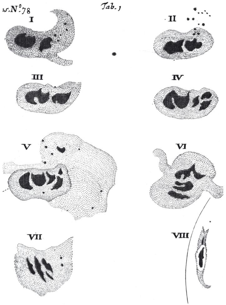 Figure 3.3: This figure presents eight numbered illustrations of sunspot observations from 1671, attributed to G. D. Cassini and published in Oldenburg (1671c). The drawings depict the Sun's surface with varying configurations of dark sunspots and penumbral structures, rendered in stippled detail to represent brightness and texture. The illustrations, labeled I through VIII, show different solar disk views, i (source: reference 118)