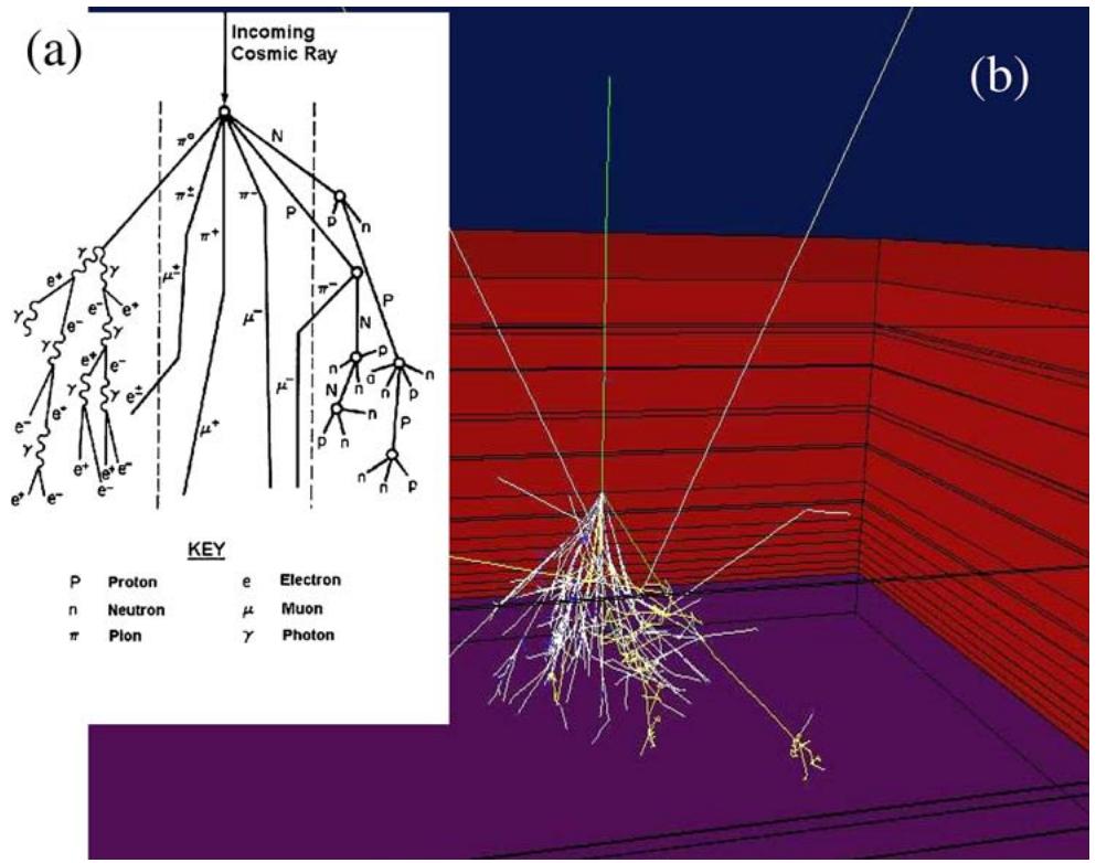 Figure 6.1: The figure presents a two-panel visualization of cosmic ray air showers. Panel (a) shows a schematic diagram illustrating the cascade of secondary particles—protons, neutrons, pions, muons, electrons, and photons—generated when an incoming cosmic ray interacts with atmospheric nuclei, with a key defining the particle symbols. Panel (b) displays a three-dimensional simulation of 10 cosmic ray showers initiated by 10 protons at 10 GeV, rendered using the ATMOCOSMICS code, showing the development and propagation of particle tracks through atmospheric layers. (source: reference 236)